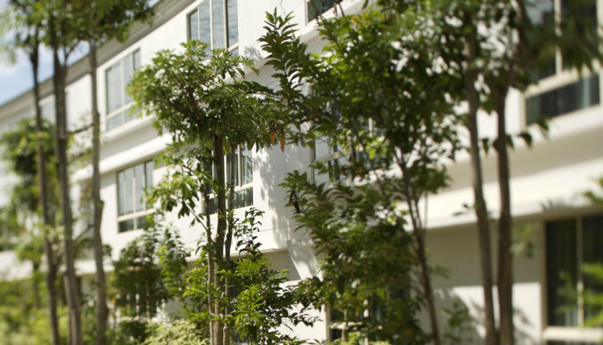 Amara Sanctuary Resort Sentosa Singapore Exterior foto